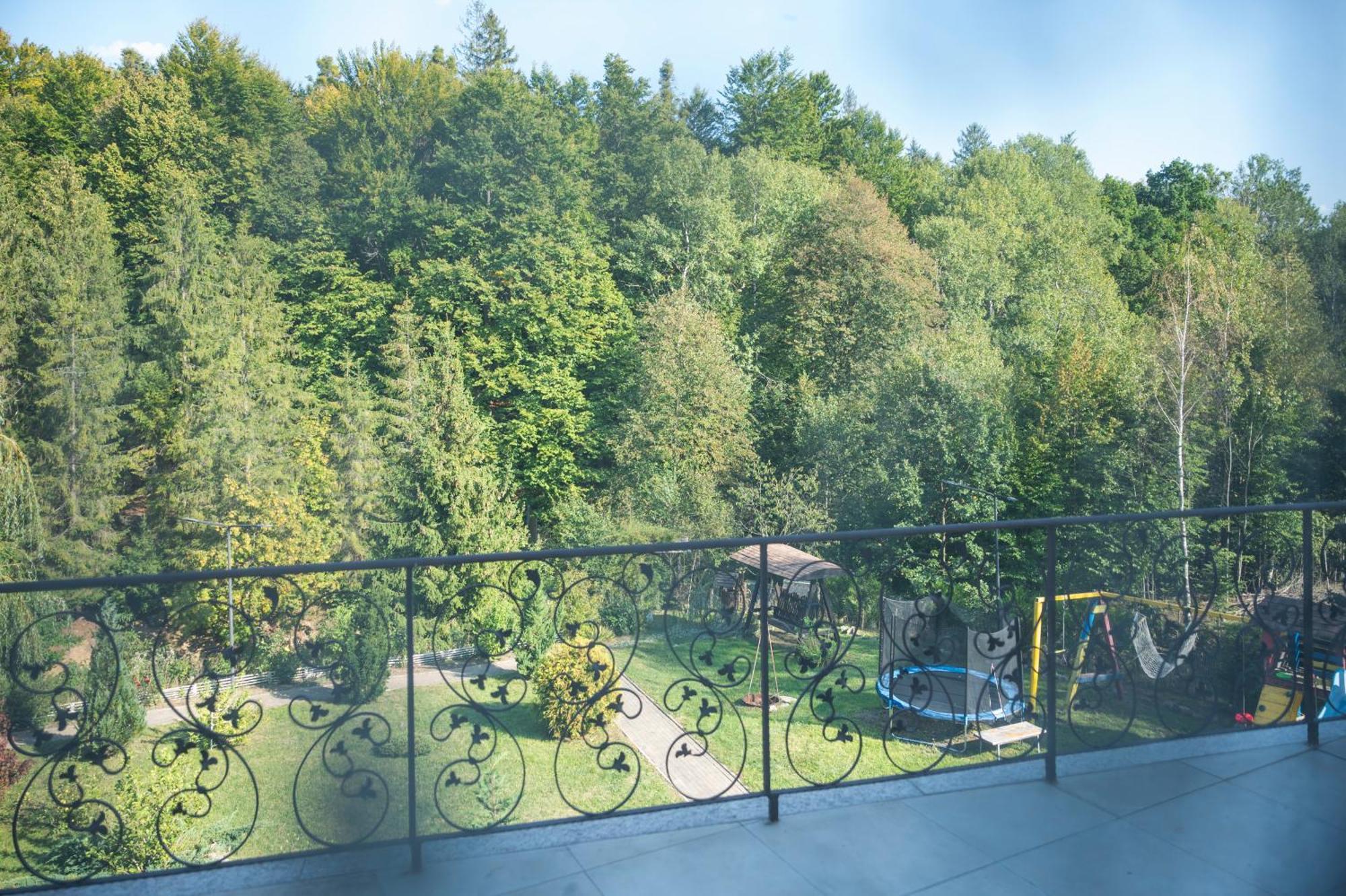 Pensiunea Diva Cacica Buitenkant foto