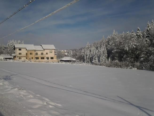 Pensiunea Diva Cacica Buitenkant foto